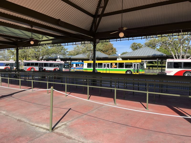 Buses lined up at the Disney Springs transfer centre.