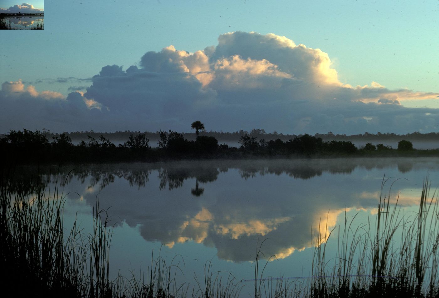 Towering storm clouds reflected in still water in Florida.